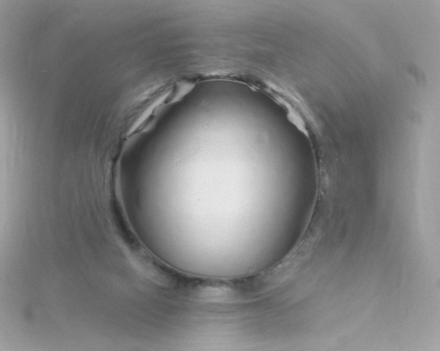 X0000115690066200911251822