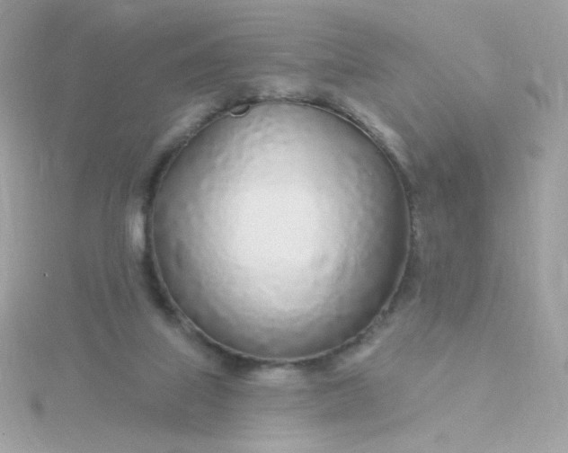 X0000115690067200911251822