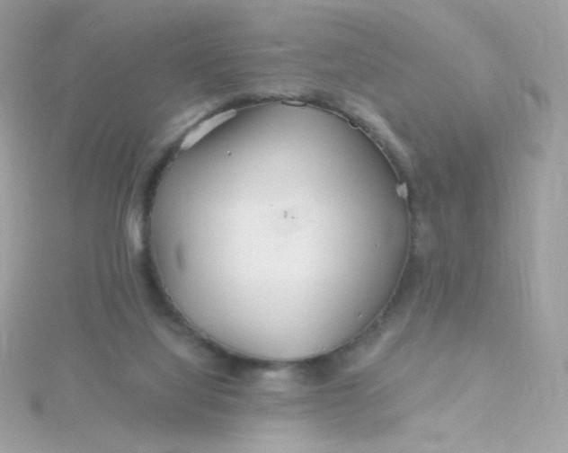 X0000115690068200911251822