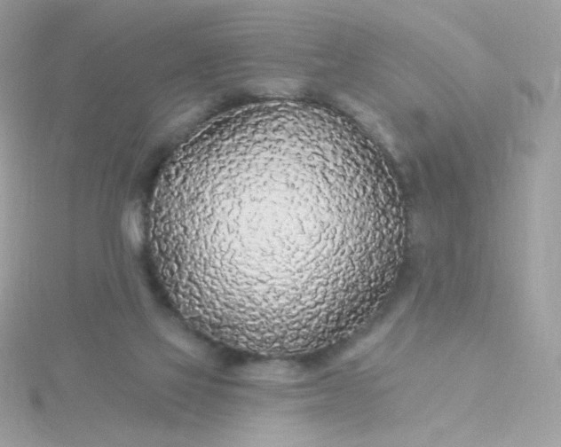 X0000115690069200911251822