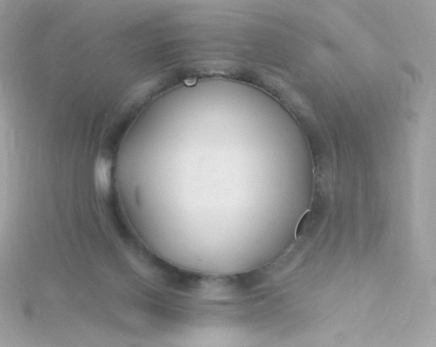 X0000115690070200911251822