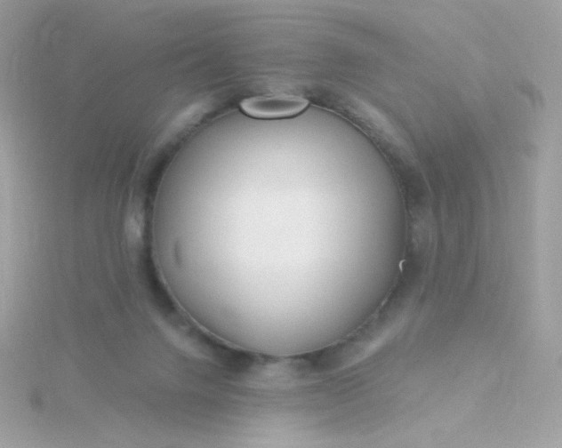 X0000115690072200911251822