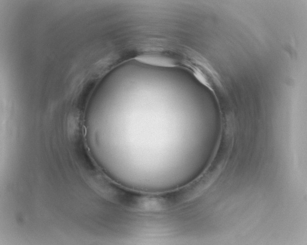 X0000115690073200911251822