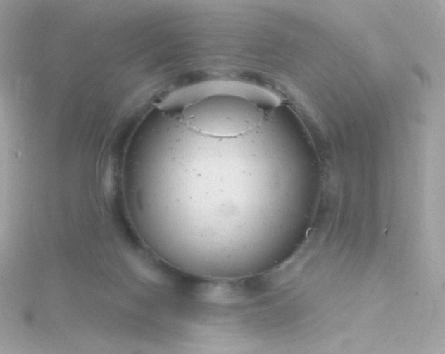 X0000115690074200911251822