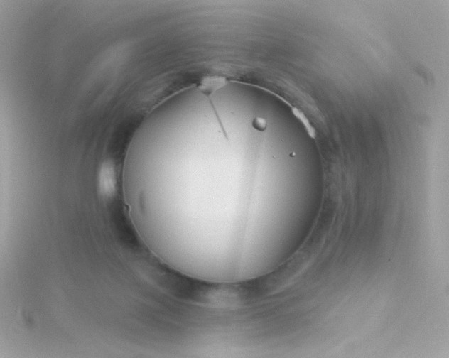 X0000115690075200911251822