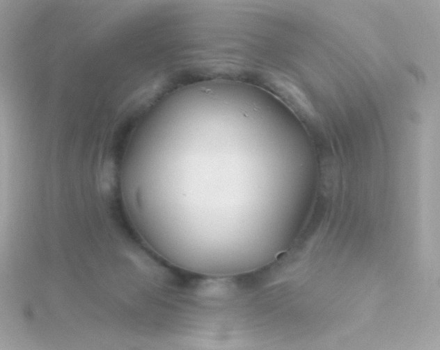 X0000115690077200911251822