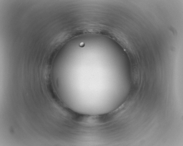 X0000115690078200911251822