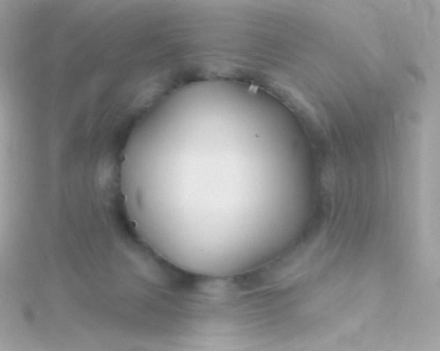 X0000115690079200911251822