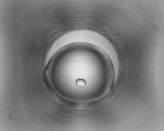 X0000115690080200911251822