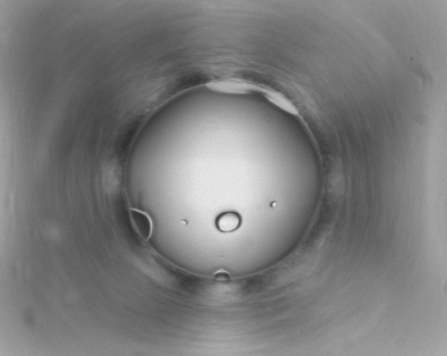 X0000115690081200911251822