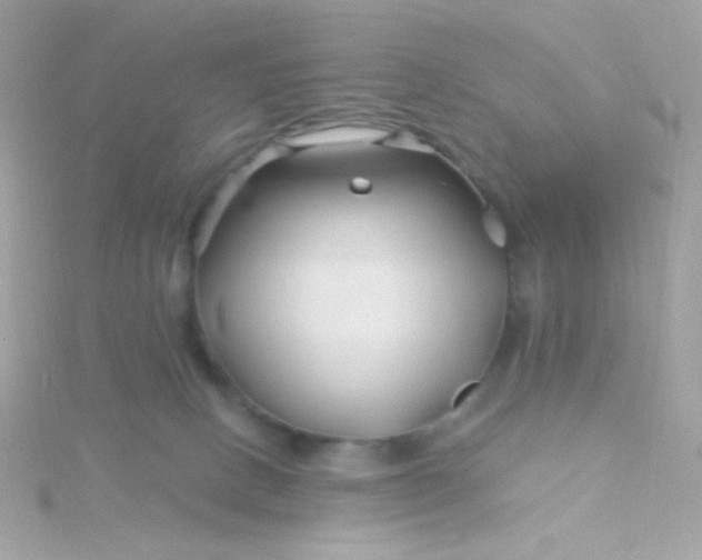 X0000115690082200911251822