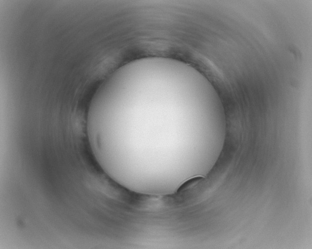 X0000115690083200911251822