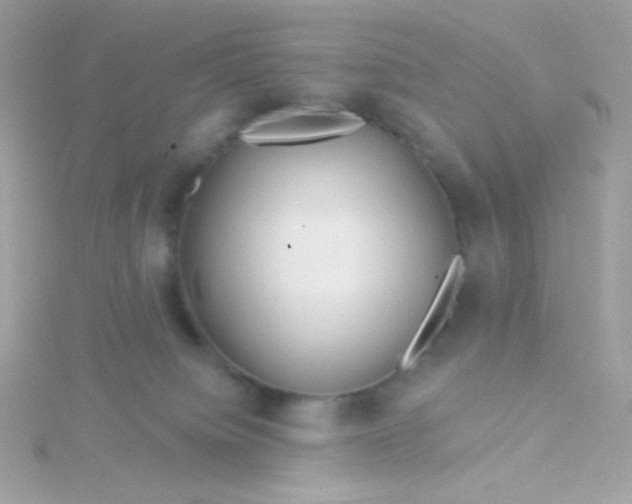 X0000115690084200911251822