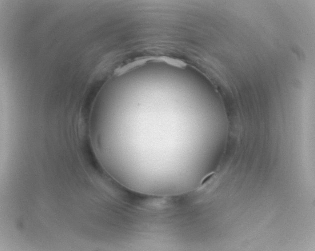 X0000115690086200911251822