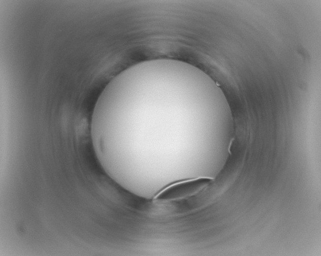 X0000115690087200911251822