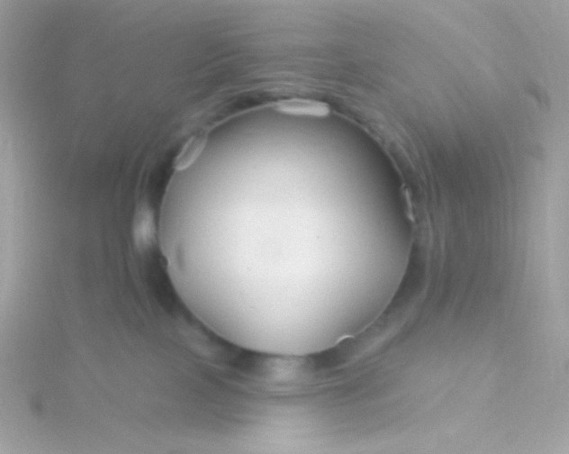 X0000115690089200911251822