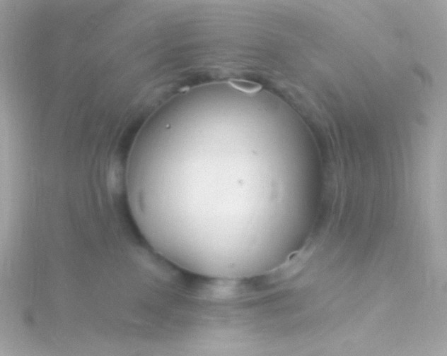 X0000115690090200911251822