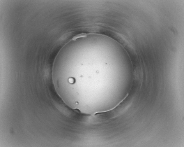 X0000115690092200911251822