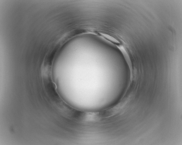 X0000115690093200911251822