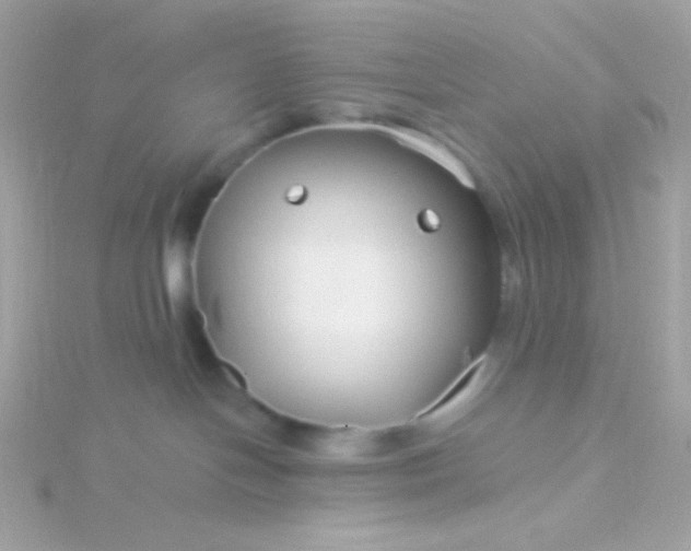 X0000115690094200911251822