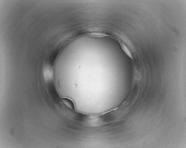 X0000115690095200911251822