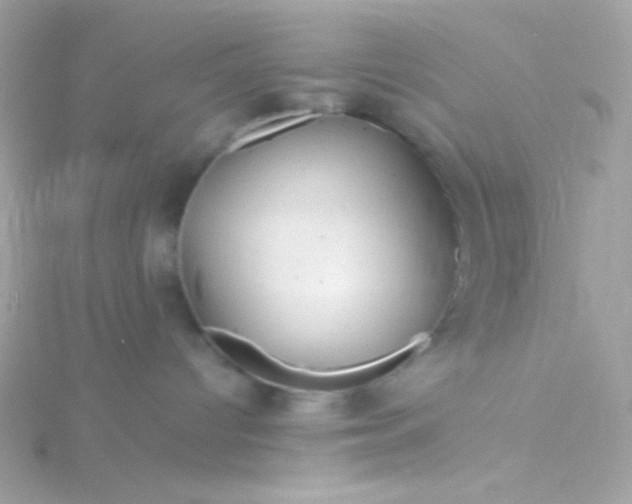 X0000115690096200911251822