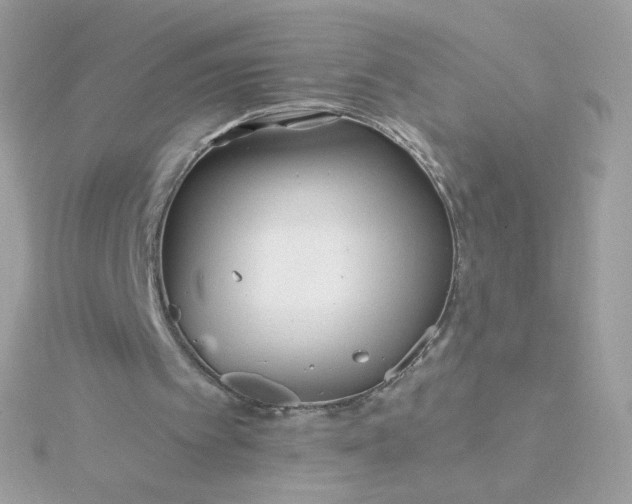 X0000115690097200911251821