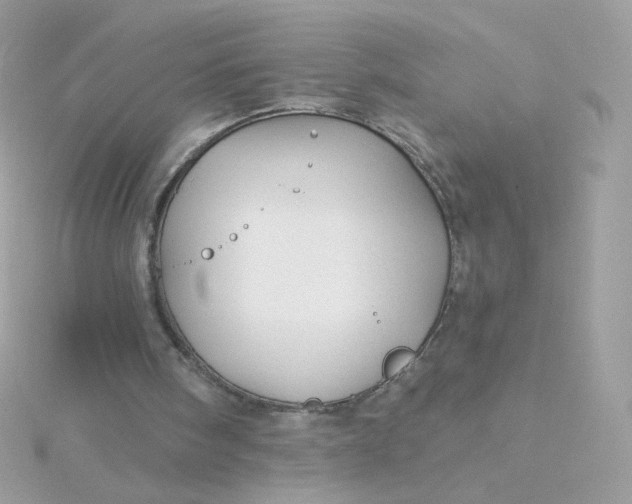 X0000115690098200911251821