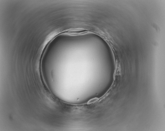 X0000115690099200911251821