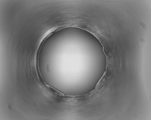 X0000115690100200911251821