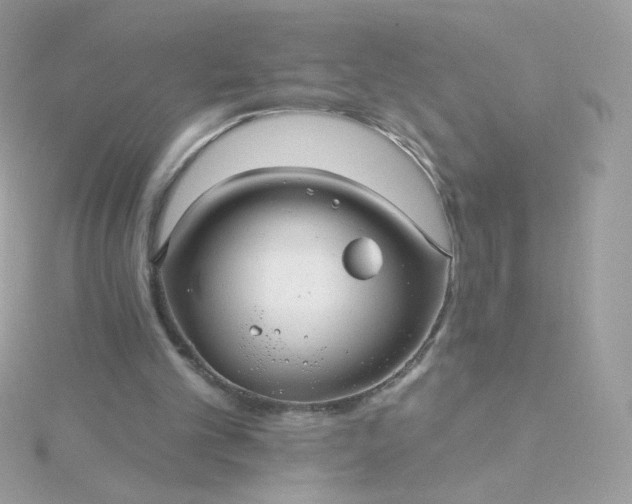 X0000115690101200911251821