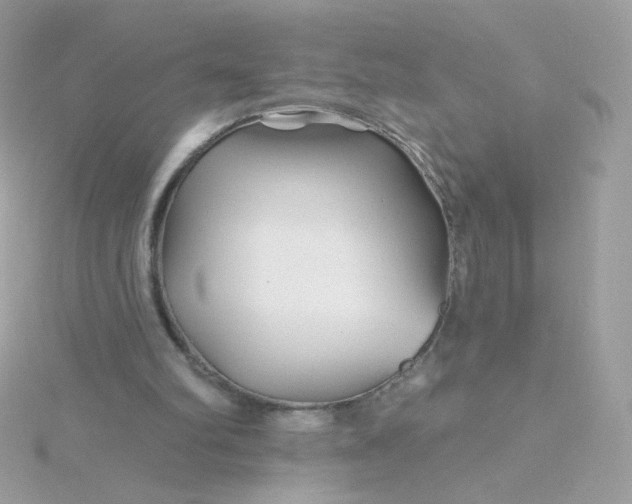 X0000115690102200911251821