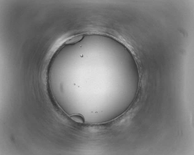 X0000115690103200911251821