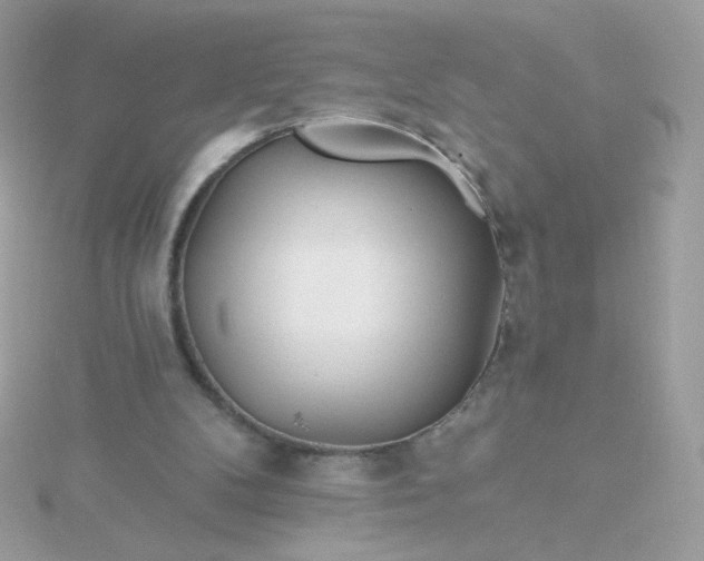 X0000115690104200911251821