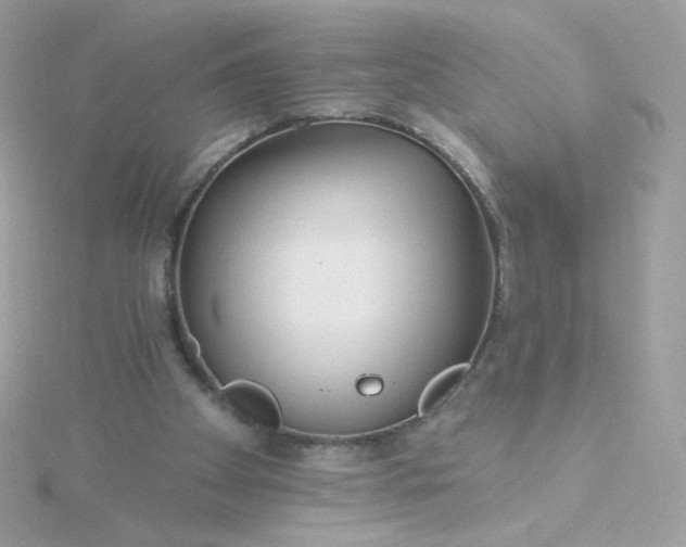 X0000115690105200911251821