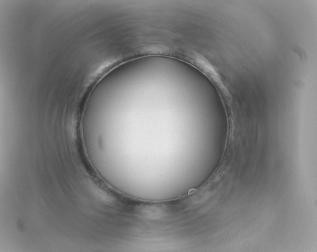 X0000115690106200911251821