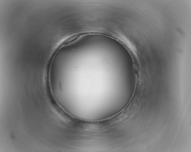 X0000115690107200911251821