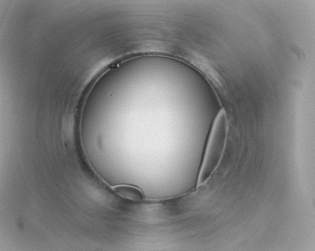 X0000115690108200911251821