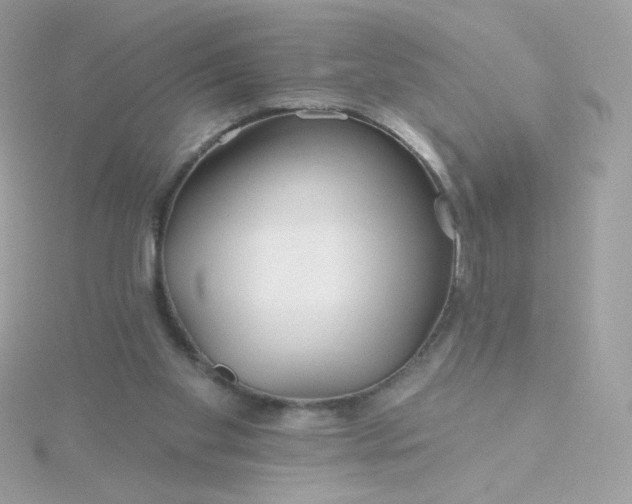 X0000115690109200911251821