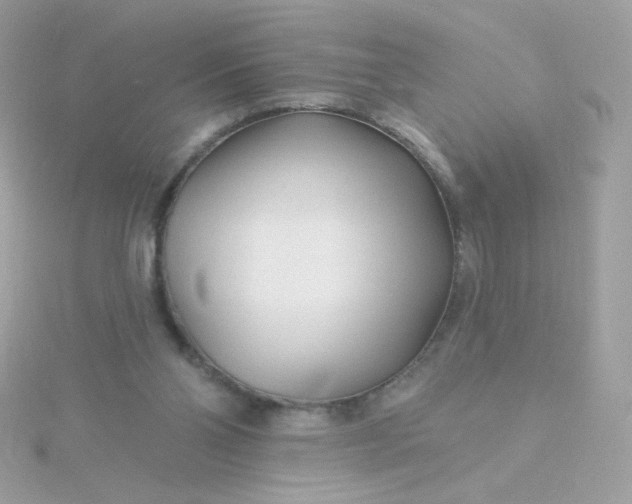 X0000115690110200911251821