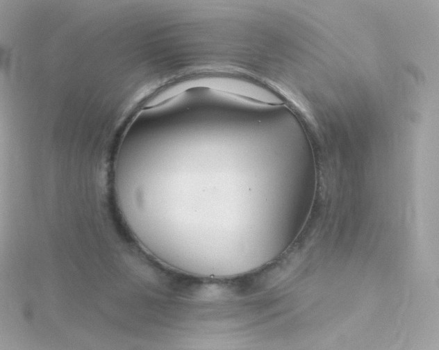 X0000115690111200911251821