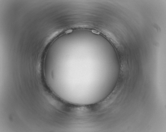 X0000115690112200911251821