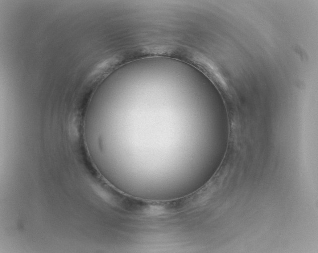 X0000115690114200911251821