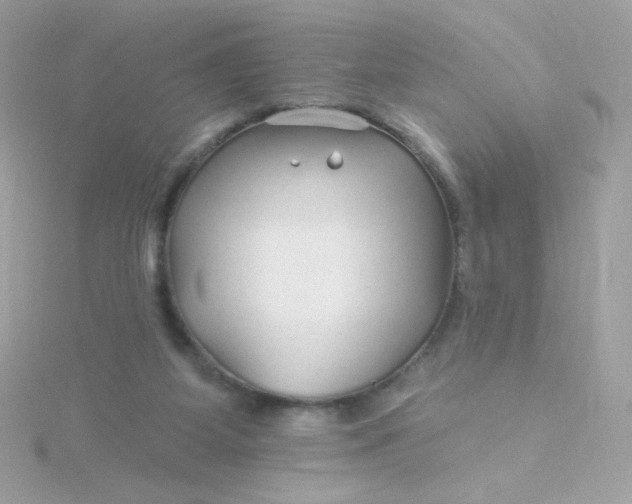 X0000115690115200911251821