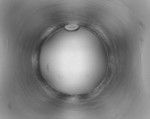 X0000115690116200911251821