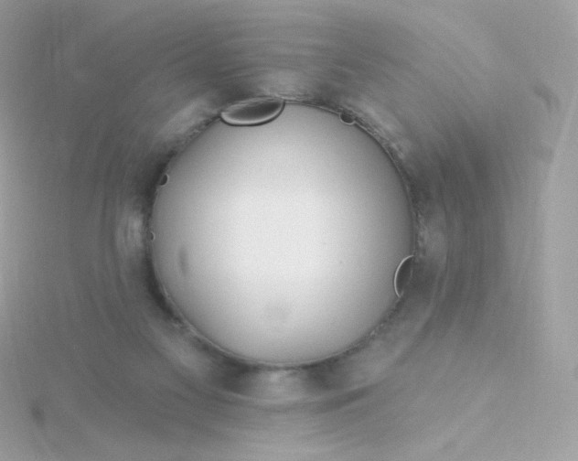 X0000115690117200911251821