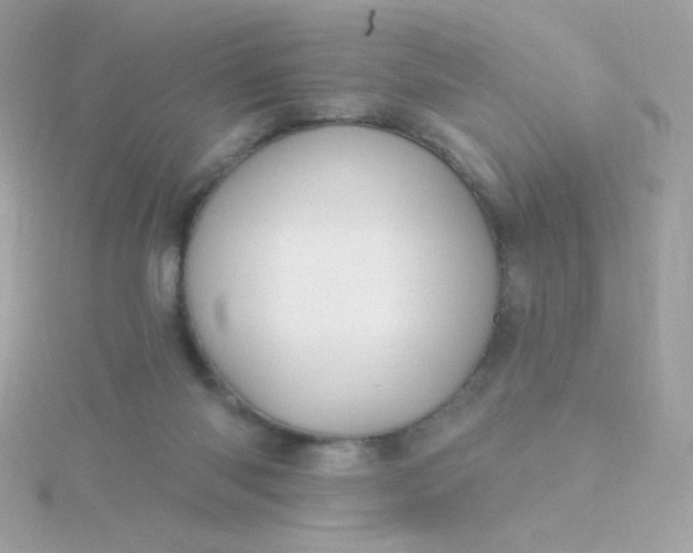 X0000115690118200911251821