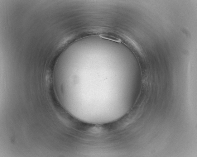 X0000115690119200911251821