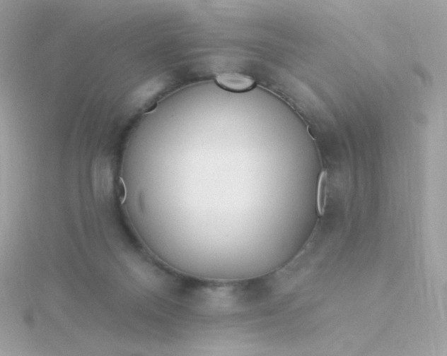 X0000115690120200911251821