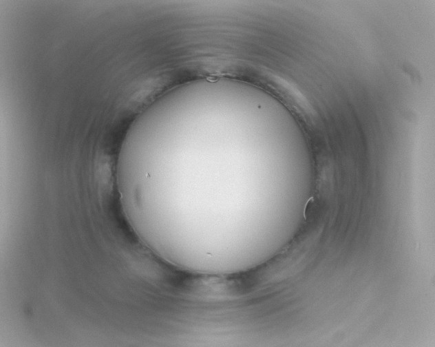 X0000115690121200911251821